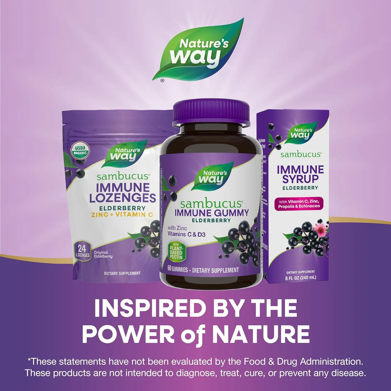 Natures Way Sambucus Elderberry Immune Gummies, Daily Immune Support for Kids and Adults*, with Vitamin C, Vitamin D3, Zinc, Gluten Free, Vegetarian, 60 Gummies (Packaging May Vary)